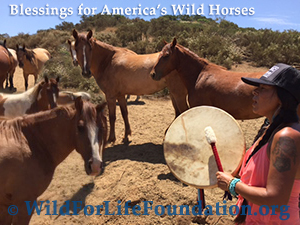 WFLF - One Truth Love - Blessings for sanctuary mustangs